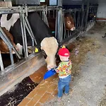 Mit Alpaka Blick *