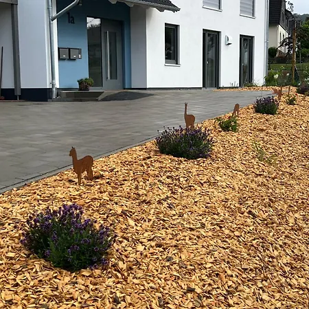 Lejlighed Mit Alpaka Blick Bad Gandersheim