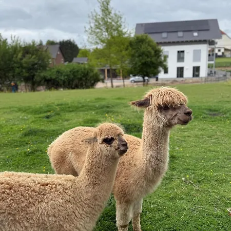 Lejlighed Mit Alpaka Blick *