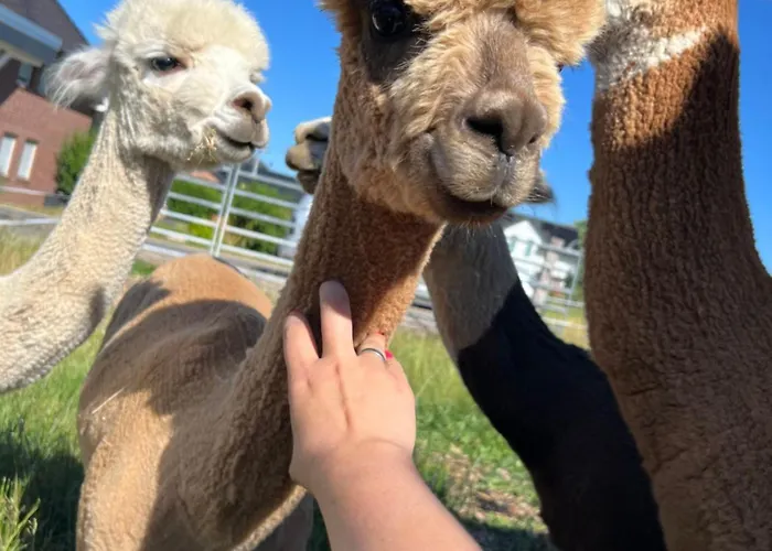 شقة Mit Alpaka Blick