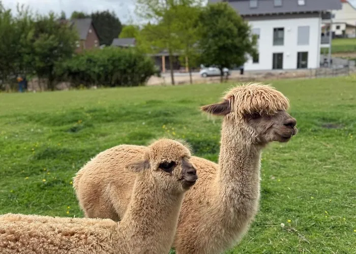 شقة Mit Alpaka Blick *